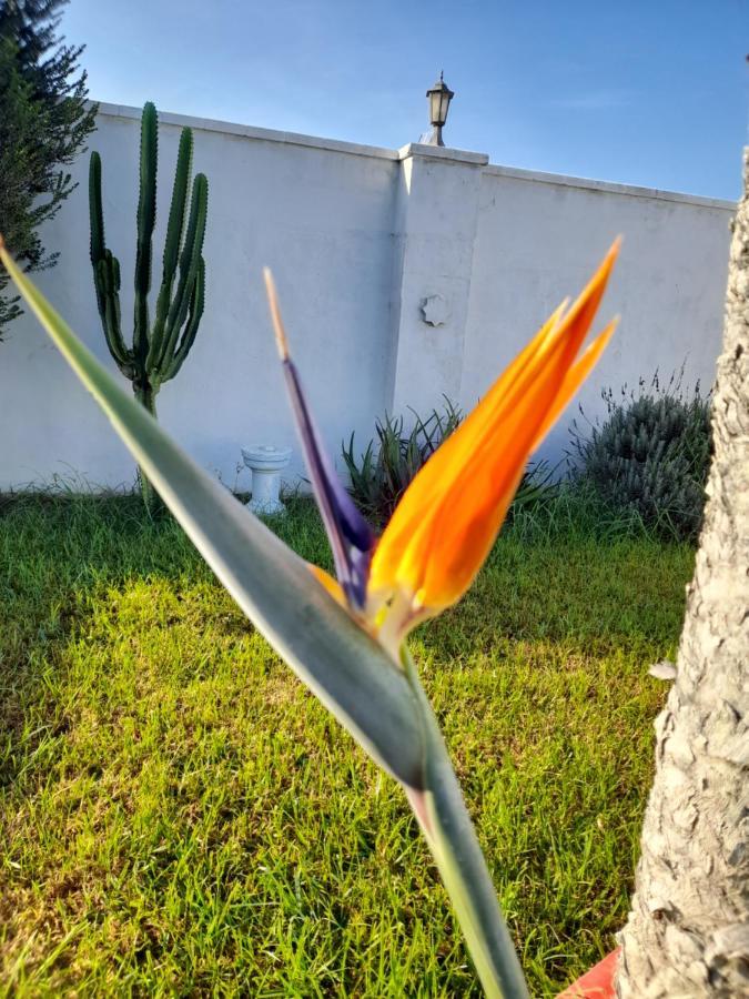 Rurales Inma Holiday home