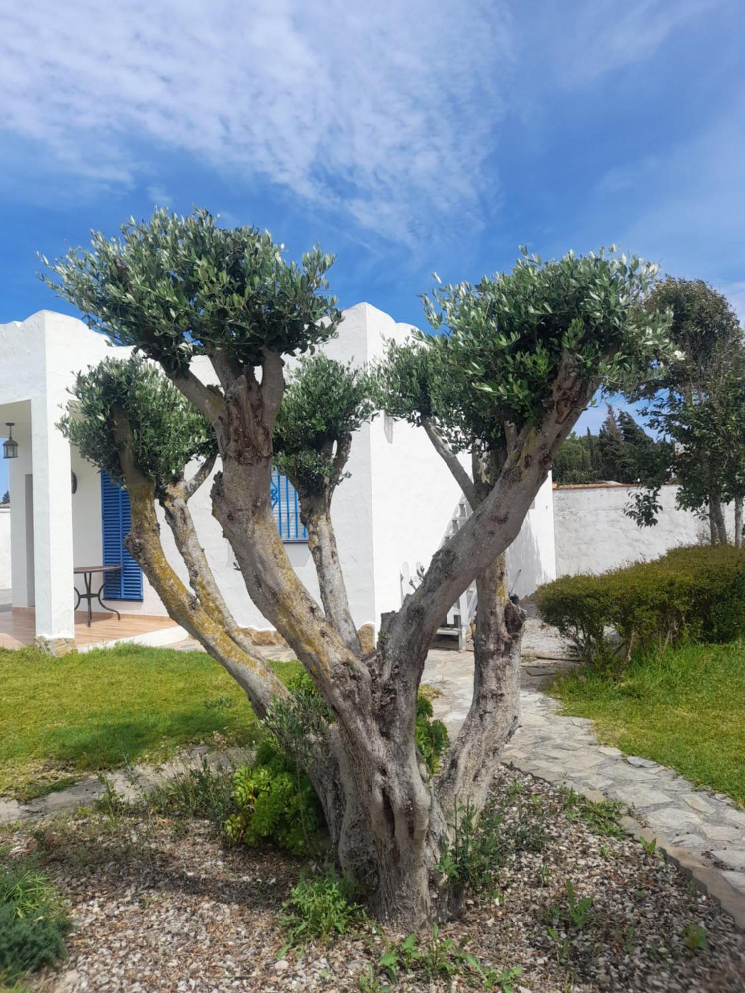 Rurales Inma Conil De La Frontera
